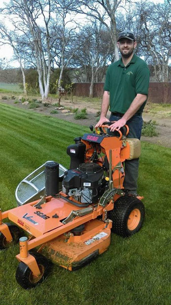 lawn-services